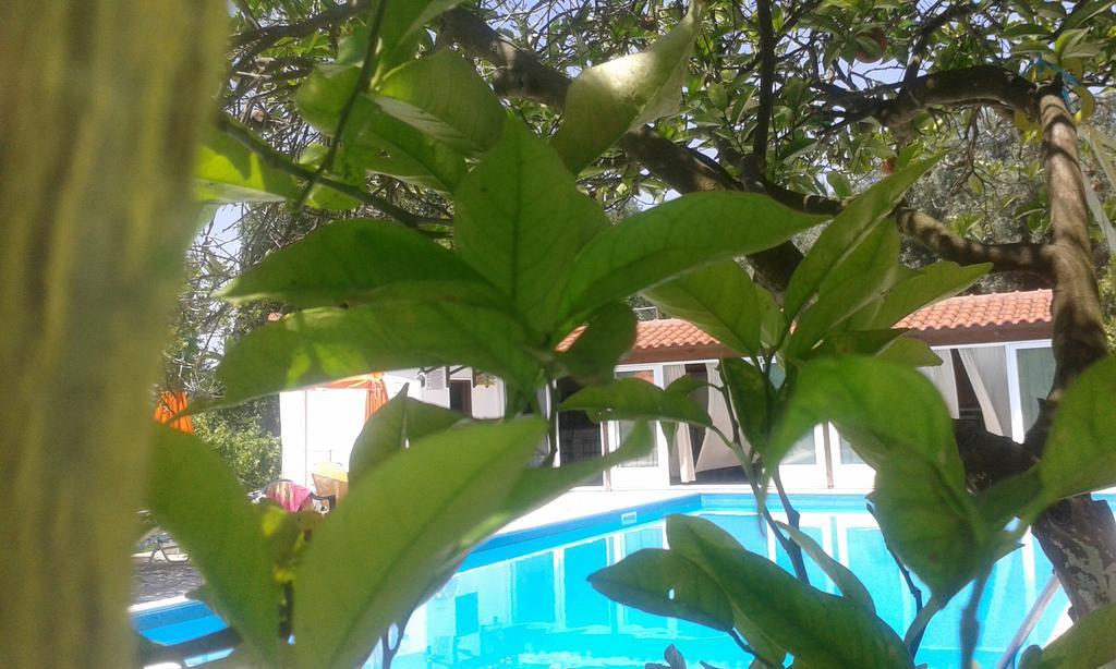 Marketos Apartments Svoronata Luaran gambar