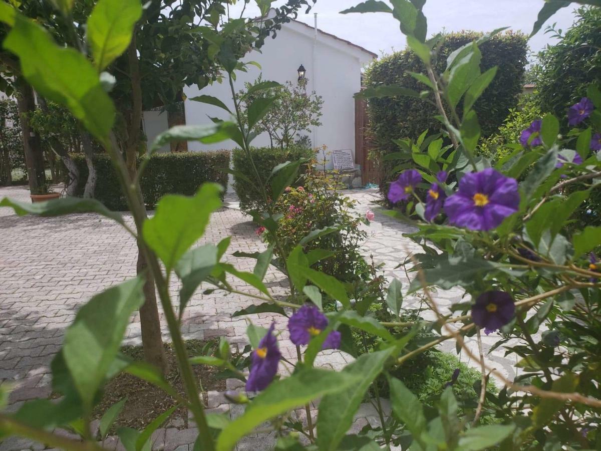 Marketos Apartments Svoronata Luaran gambar